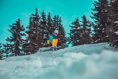 树附近人滑雪
